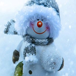 Meet your Posher, Debbie